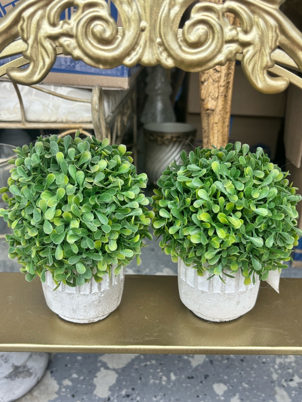 Artificial Boxwood Topiary Pair in White Planters Set of 2